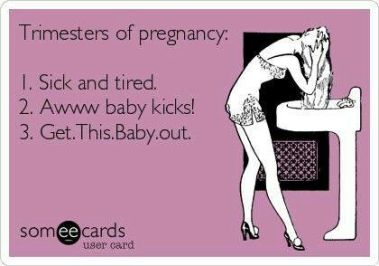 trimesters-of-pregnancy-ecards