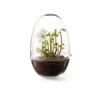 stockholm grow greenhouse